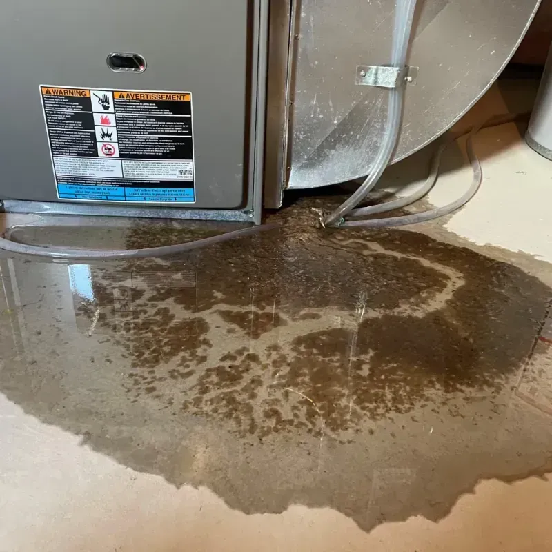 Appliance Leak Cleanup in Milliken, CO